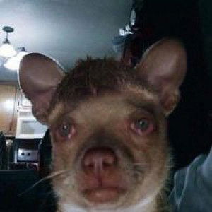 นัท' ตี้ profile icon