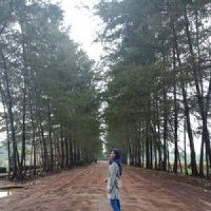 Dewi Kerisnawati profile icon