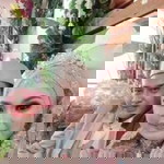 Nurliana Arumawanti profile icon