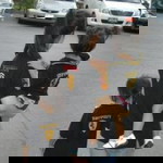 Lukmoo Tonsaisawan profile icon