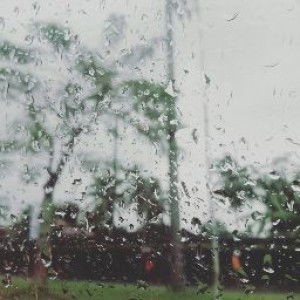 Diana Lyn Dionisio profile icon