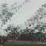 Diana Lyn Dionisio profile icon