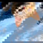 Vehilnita Mikel profile icon