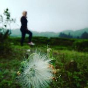 Puput Wulan profile icon