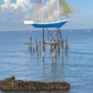 Putri Anjani profile icon