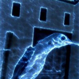 Encim Delta profile icon