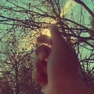 Ninhykartini Thiny profile icon