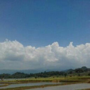 Fitria hasan Sanusi profile icon