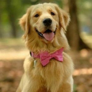 Putri Taa profile icon