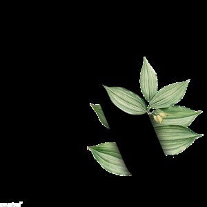 Astri Meida Wardanie profile icon