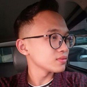 Budi Irwansyahputra profile icon