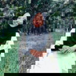 Zulniza Adzwa profile icon