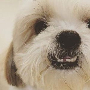 berberly profile icon