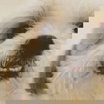 berberly profile icon