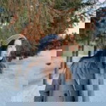 Peryo Ok profile icon