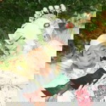 Dinia 3007 profile icon