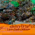 Haniy Azrai profile icon