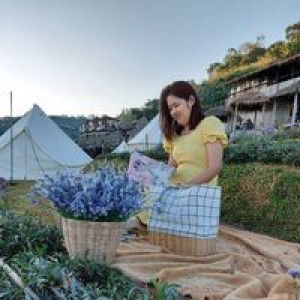 ธนภร ฟักป้อม profile icon