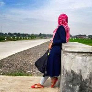 Weta Weta profile icon