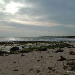 Deden Riyadi profile icon