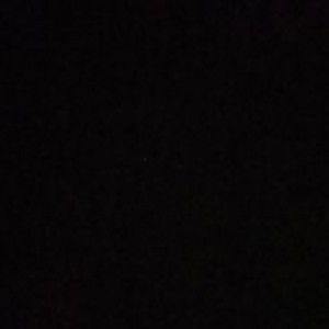 Maria Putri profile icon