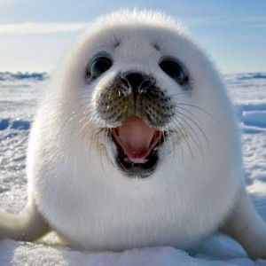 พัชริดา หมื่นกิจ profile icon