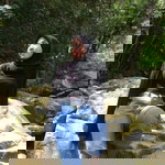 Intana Salsabila profile icon