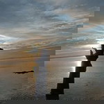 Marya Ulfah profile icon