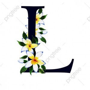 Nawaporn profile icon