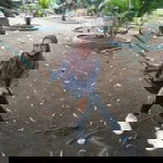 Lilis Setiasari profile icon