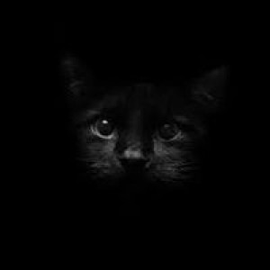 ท้อได้ ห้ามถอย profile icon