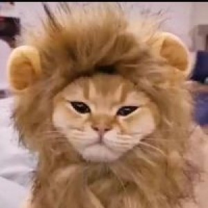 DeckDeck Marwan Bamazrouk profile icon