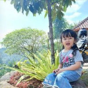 Farissa Mahardika profile icon