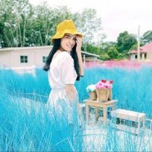 Parisa Phanyang profile icon