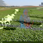 ณัทชา แดงโกเมน profile icon