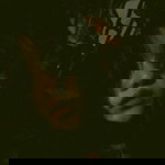 Warinthorn Wiramoon profile icon