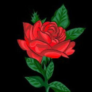 Mega Devita sari profile icon