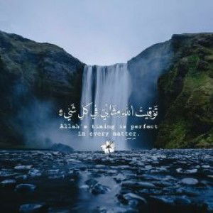 msrynhmhmd profile icon