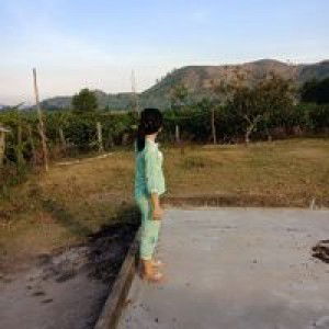 Lưu Doanh profile icon