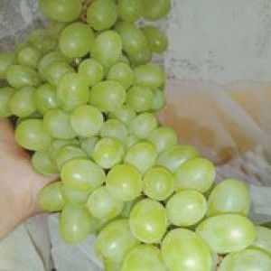 AnekaCemilan TuguJaya profile icon