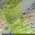 AnekaCemilan TuguJaya profile icon