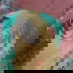 AninDya Baiq profile icon