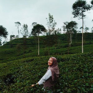 dian chandra utami profile icon