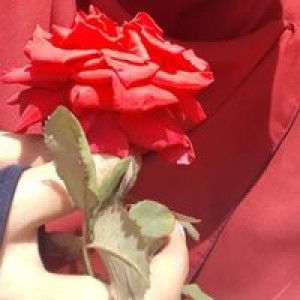 Salma Nur'afiah profile icon