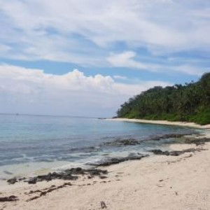 Cynthia Cynthia profile icon