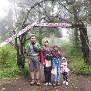 Dielista Igfi profile icon