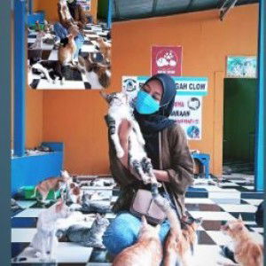 Putri Laycya05 profile icon