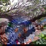 Dini Sonia profile icon