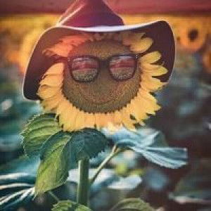 Rinah Rosyanti profile icon