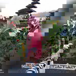 Nanas Putry profile icon